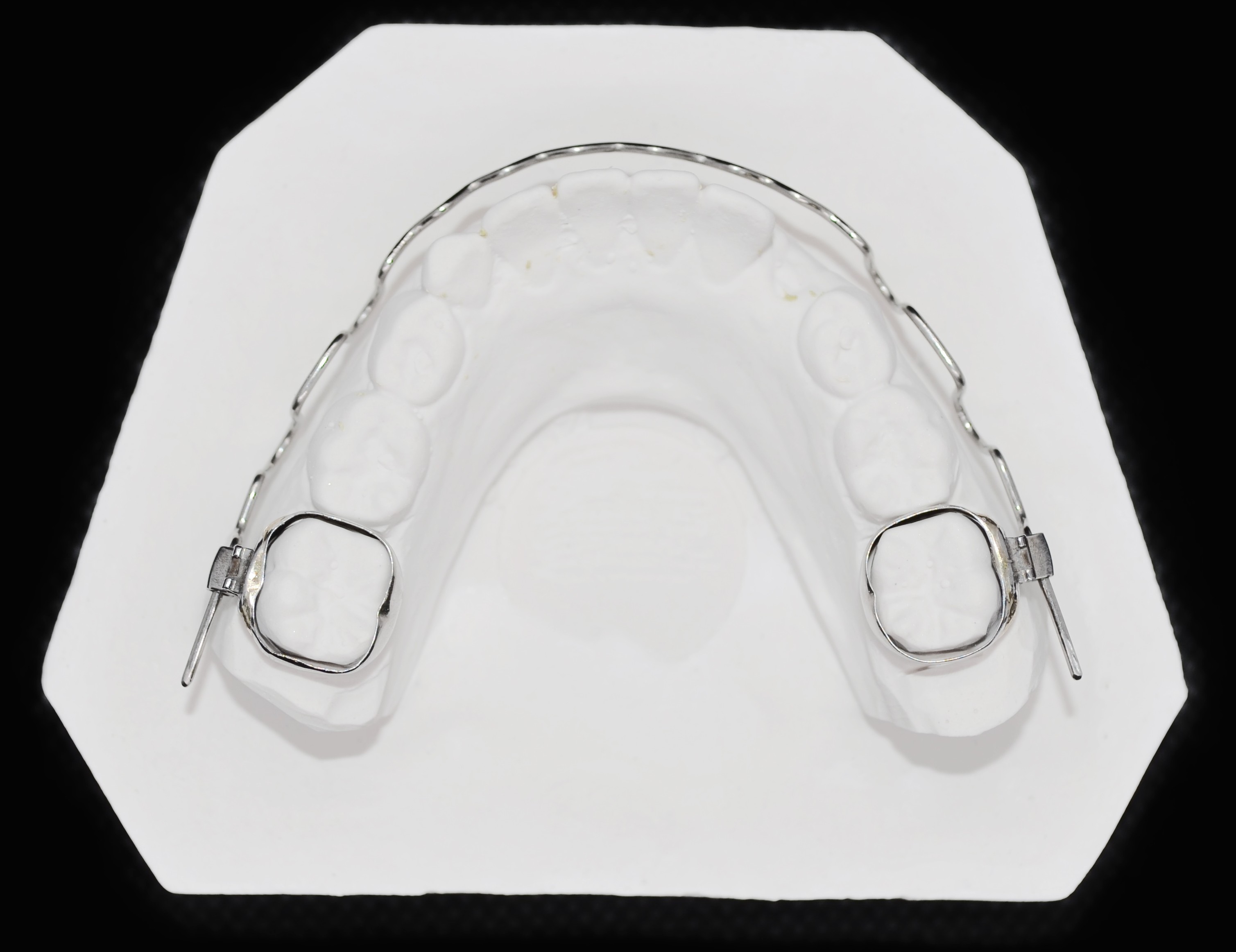 Пластиночные, двучелюстные, функциональные